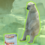 PROČ a JAK si jako freelancer spořit na důchod?